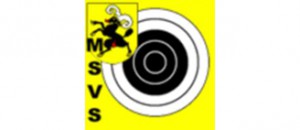 msvs